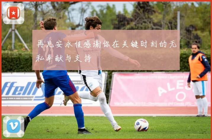 再见安永佳感谢你在关键时刻的无私奉献与支持
